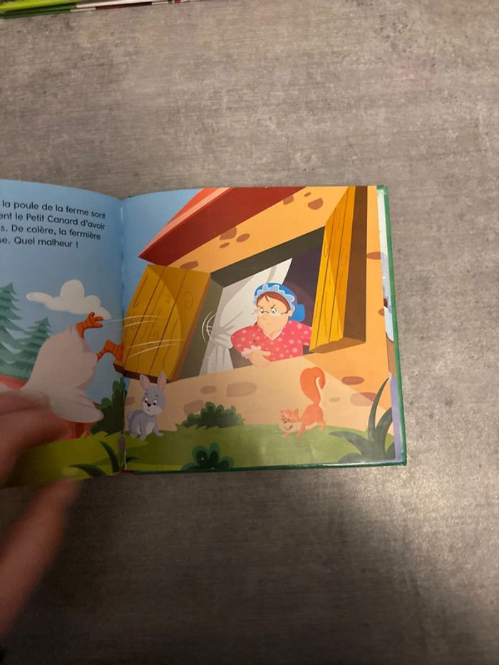 Livre le vilain, petit canard - photo numéro 4