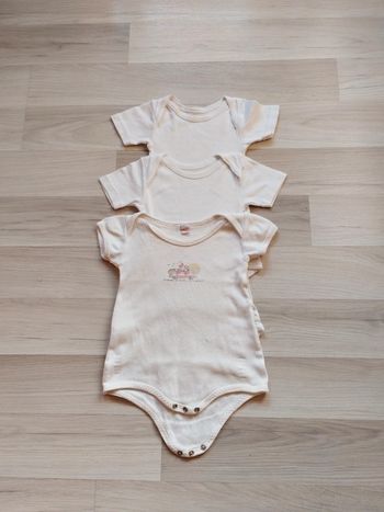 Lot de 3 bodies 12 mois