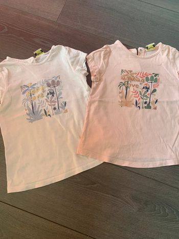 Lot de deux tee shirt 36 mois tape à l’œil