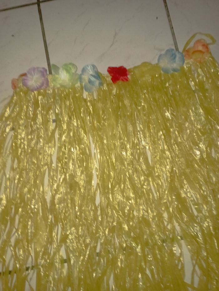 Jupes hawaiiene - photo numéro 3