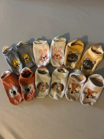 Lot de 6 paires de chaussettes