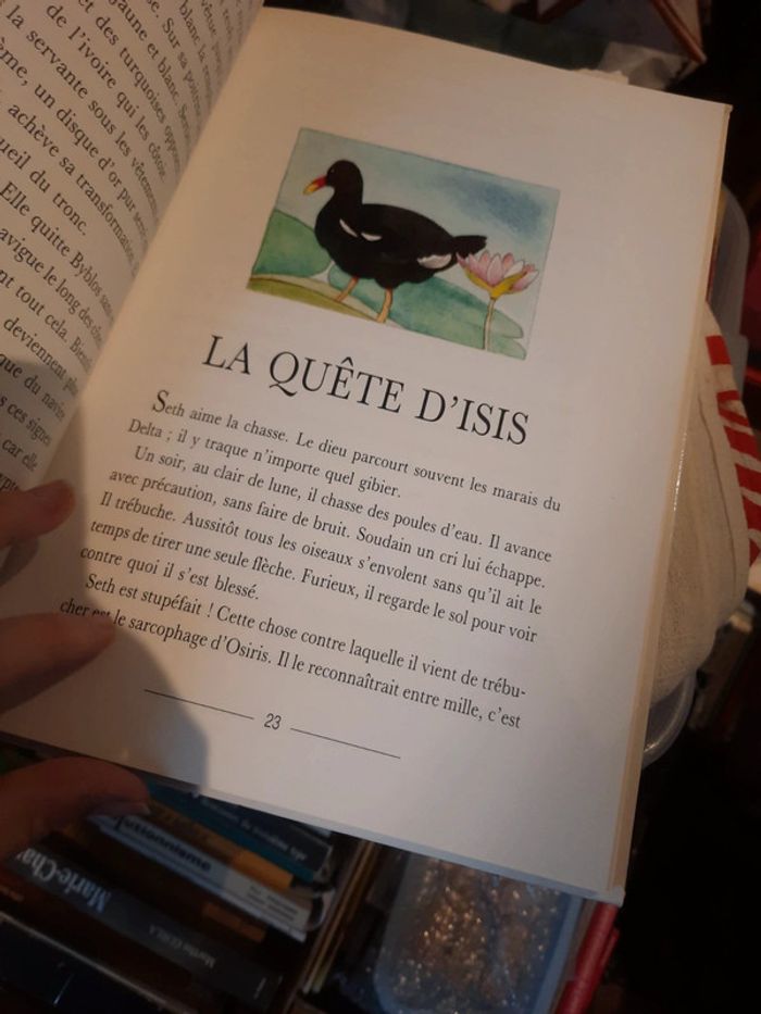 Mythologie Égypte livre enfant contes et légende - photo numéro 14