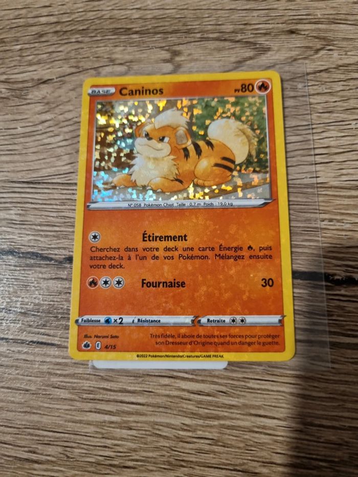 Carte pokémon caninos holo 4/15 année 2022