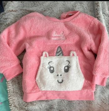 Pull polaire