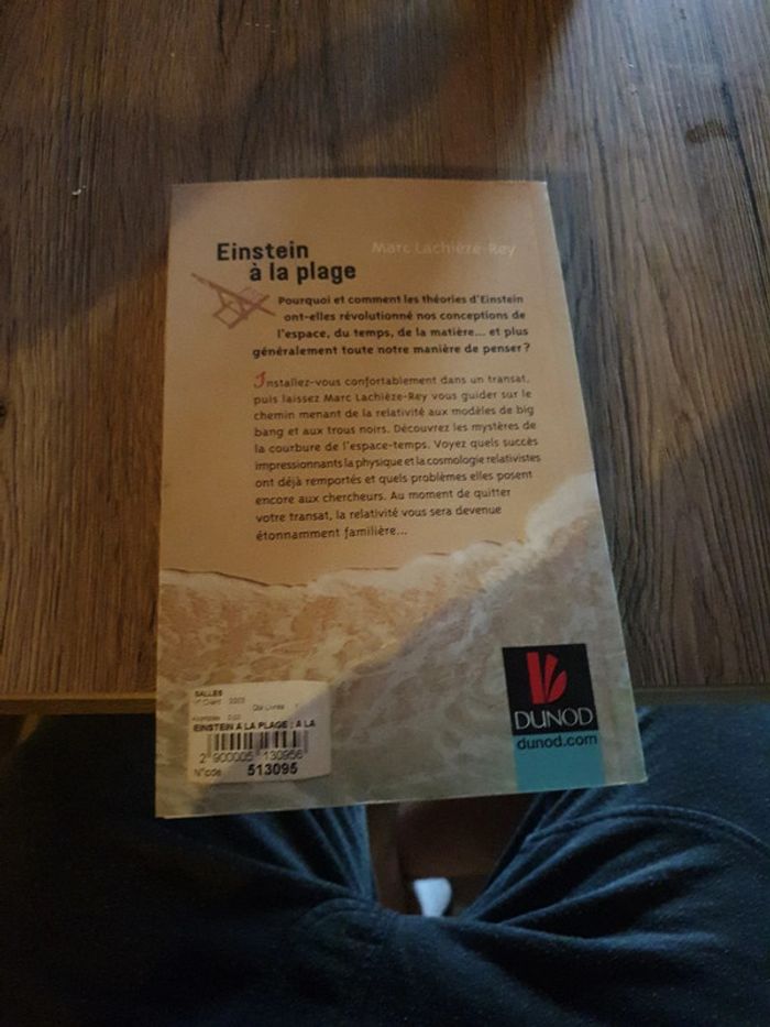 Einstein a la plage - photo numéro 2