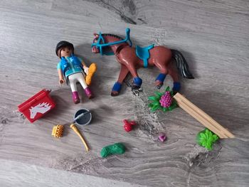 Playmobil "country'
70294