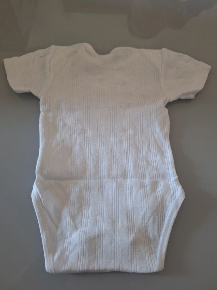 Bodie 3 mois - photo numéro 2