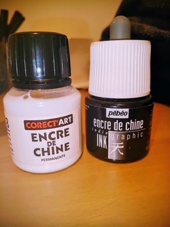 Encre de chine - calligraphie- Pebeo et correct art - noir et blanc