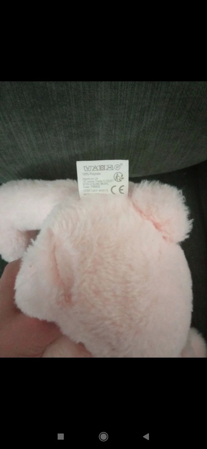 Lapin - photo numéro 3