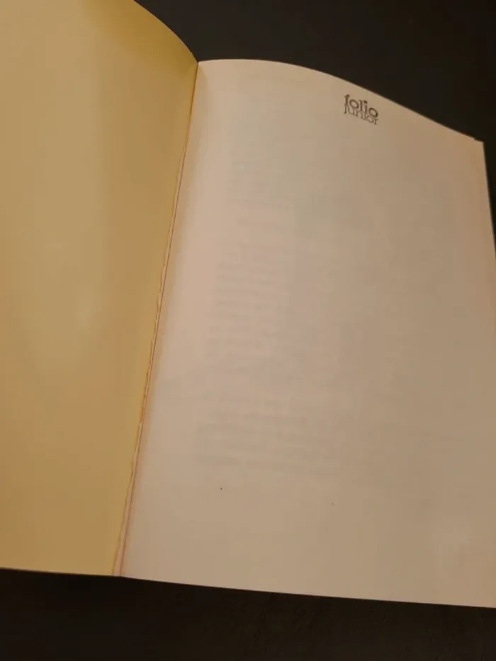 Lettres de mon moulin - photo numéro 4