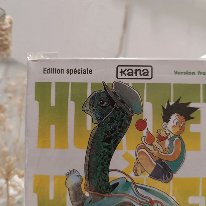 Manga hunter x hunter tome 3 édition spéciale - photo numéro 3