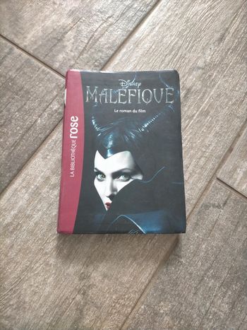 Livre bibliothèque rose Maléfique