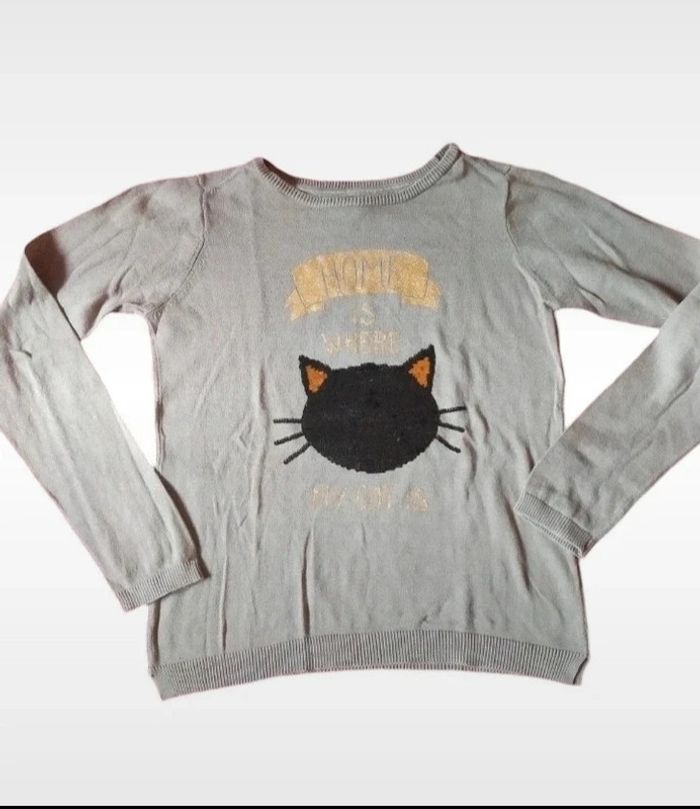 Pull tête de chat qui change de couleur 12 ans