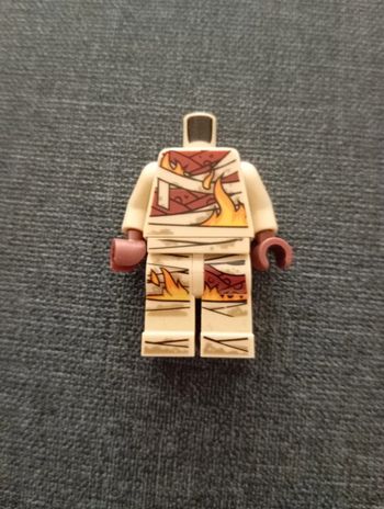 Ninjago \ secrets of the fondbidden spinjitzu