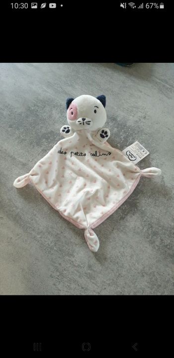 Doudou plat chat mots d'enfants 