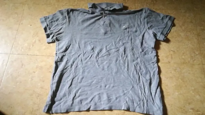 Polo L - photo numéro 2