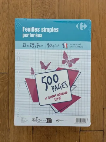 1 paquet de 500 pages grands carreaux 90g 21x29,7cm