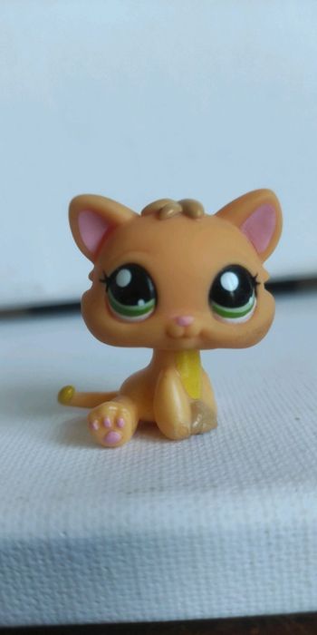 My littlest petshop chat snowshoe 2020