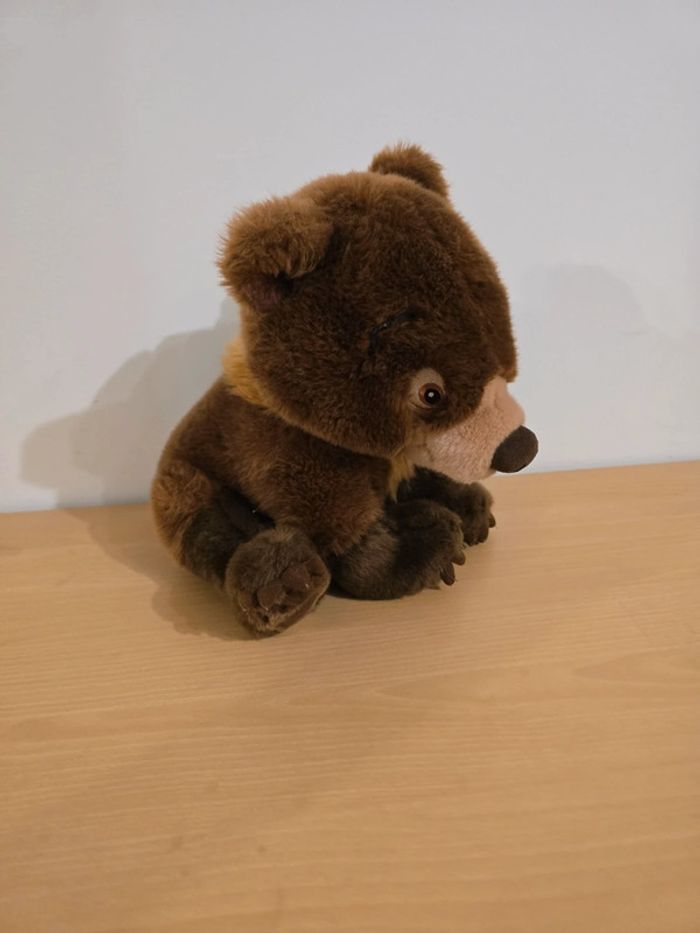 Frère des ours koda disneyland Paris - photo numéro 2