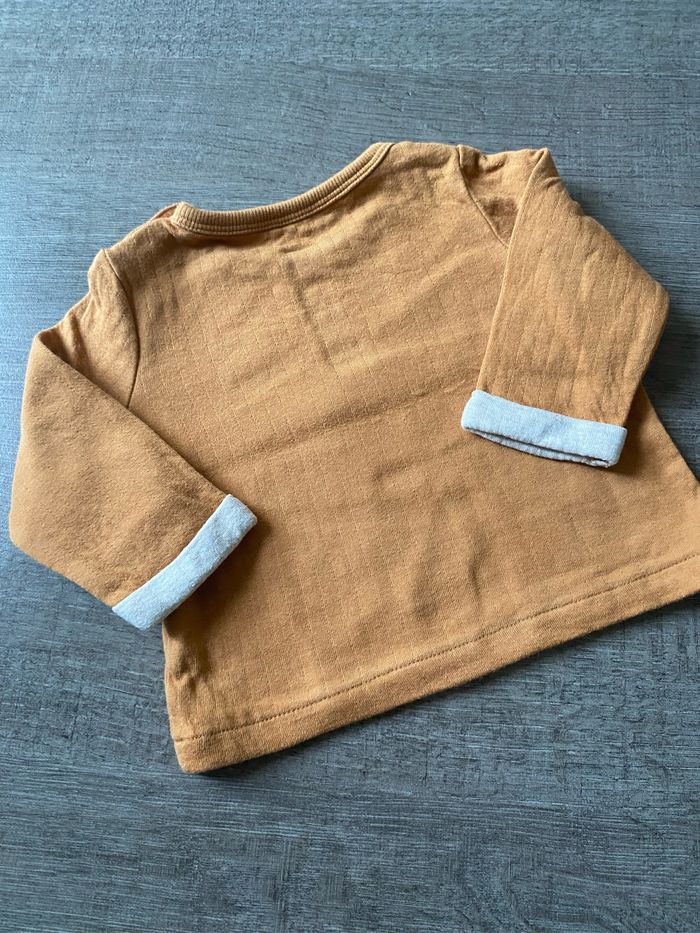 Pull Creeks - photo numéro 4