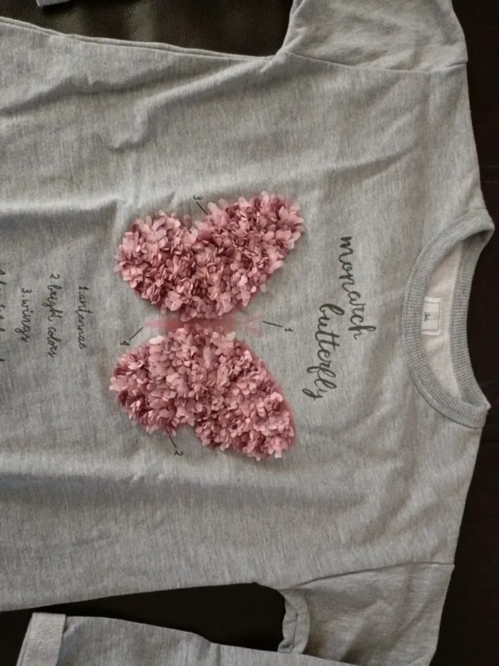 Sweat papillon lft 10 ans - photo numéro 2
