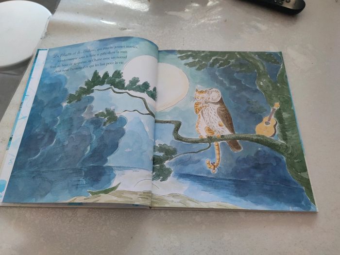 Album le voyage de la chatte et du hibou - photo numéro 2