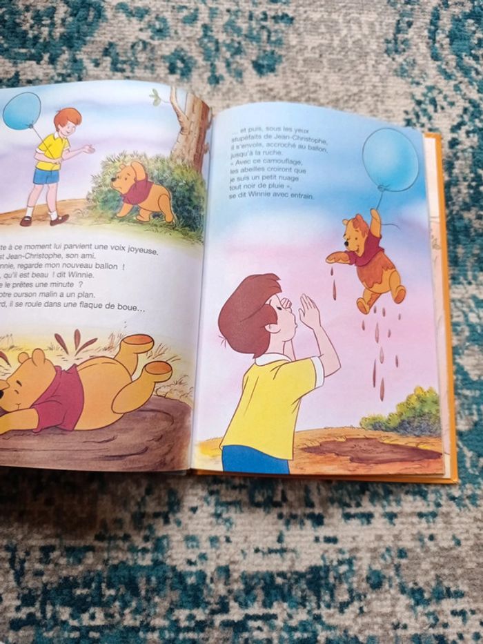 Livre Disney - photo numéro 4