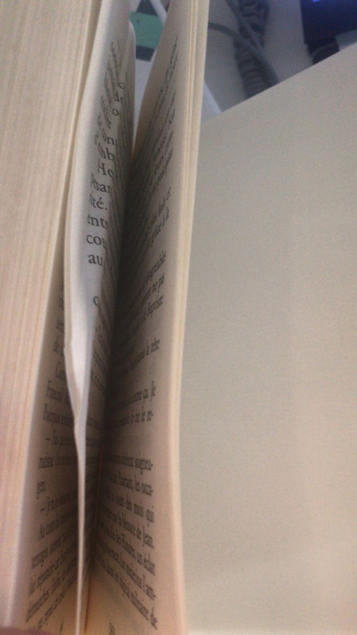 Livre le pain blanc - photo numéro 3