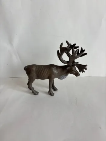 Renne Schleich