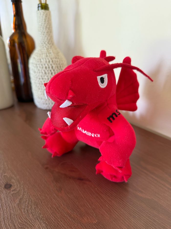 Dragon Lucky MSI - photo numéro 2