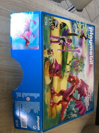 Maman dragons et ses bebes