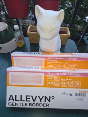 Allevyn Gentle Border Pansement hydrocellulaire adhésif stérile très absorbant 