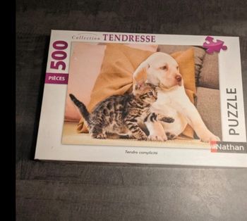 Puzzle Nathan 500 pièces complet