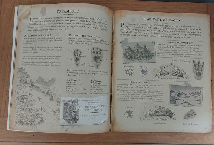 Dragonologie guide pratique du débutant - Milan jeunesse - photo numéro 4