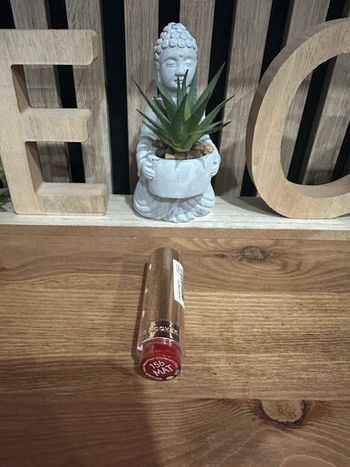 Rouge à lèvre Yves Rocher