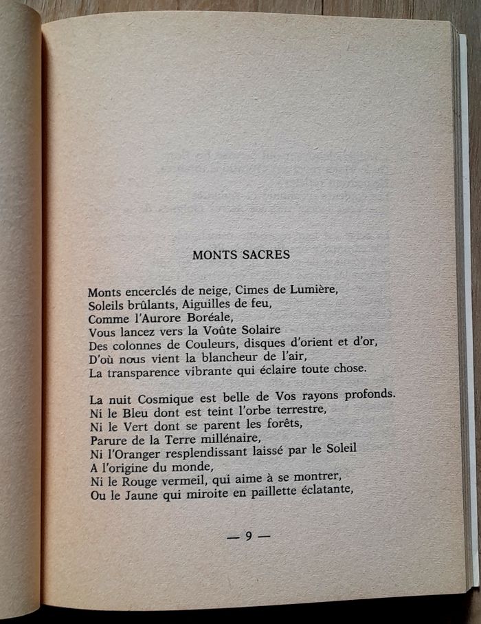 Hélène Hamanii Badjannah - Mahâvatar et la couronne de la terre - photo numéro 6