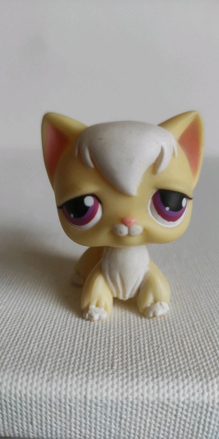 My littlest petshop chat angora 364 - photo numéro 2