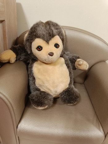 Peluche ajena herisson