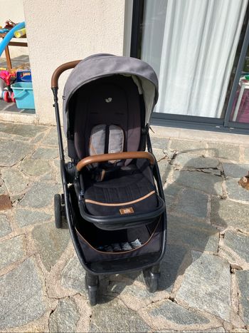 Poussette Joie Finiti Carbon