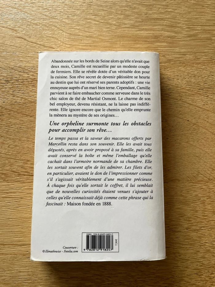 Roman les Mystères de Camille - photo numéro 2