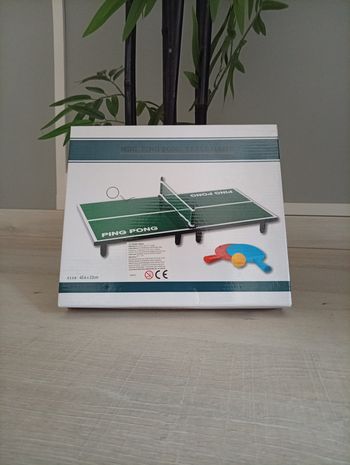 Ping Pong d'intérieur