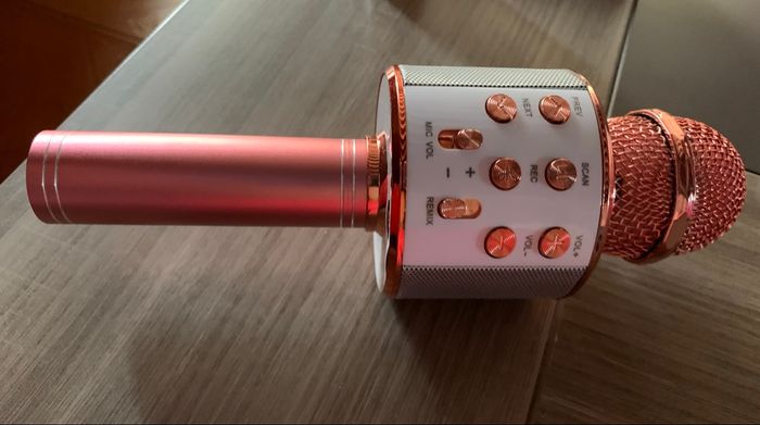 Micro karaoké - photo numéro 2