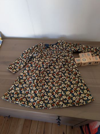 Robe manches longues velours bout chou 18 mois