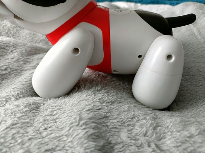 Duke le chien Interactif TBE - photo numéro 5