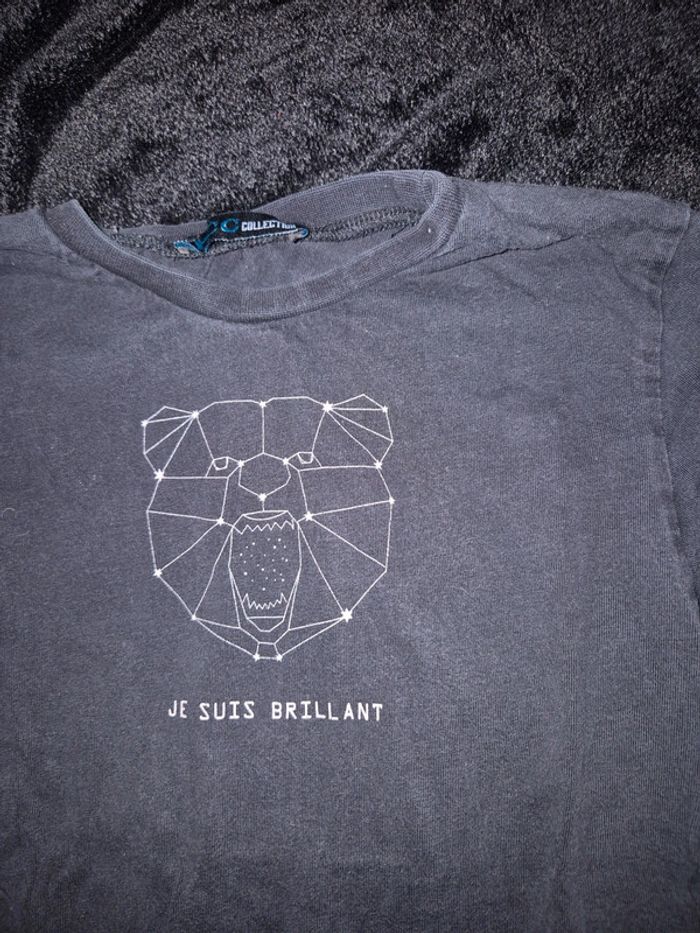 ML ours - photo numéro 2