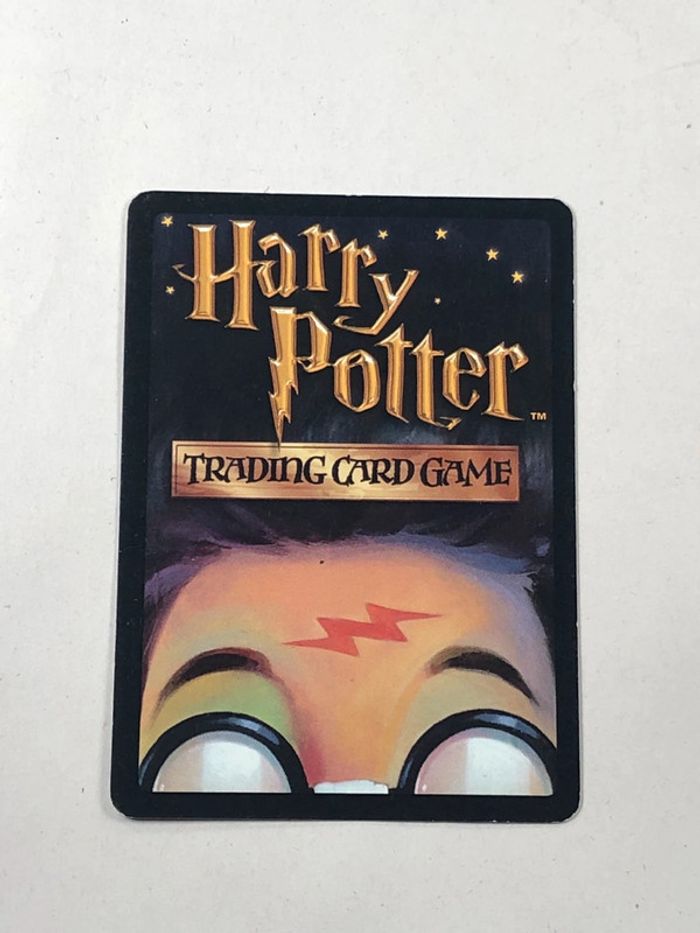 Métamorphose carte harry potter - photo numéro 2