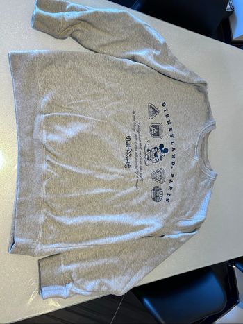 Sweat-shirt Disneyland Paris – Taille XL – Mickey + citation Walt Disney – Très bon état
