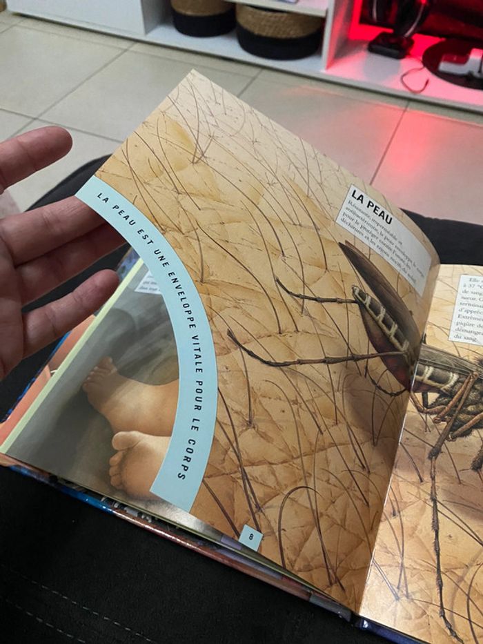 Zoom 🌸 le corps humain - photo numéro 4