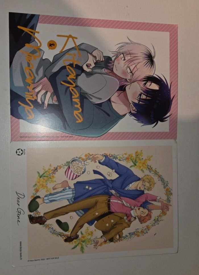 Lot Ex librix manga yaoi aux choix - photo numéro 2