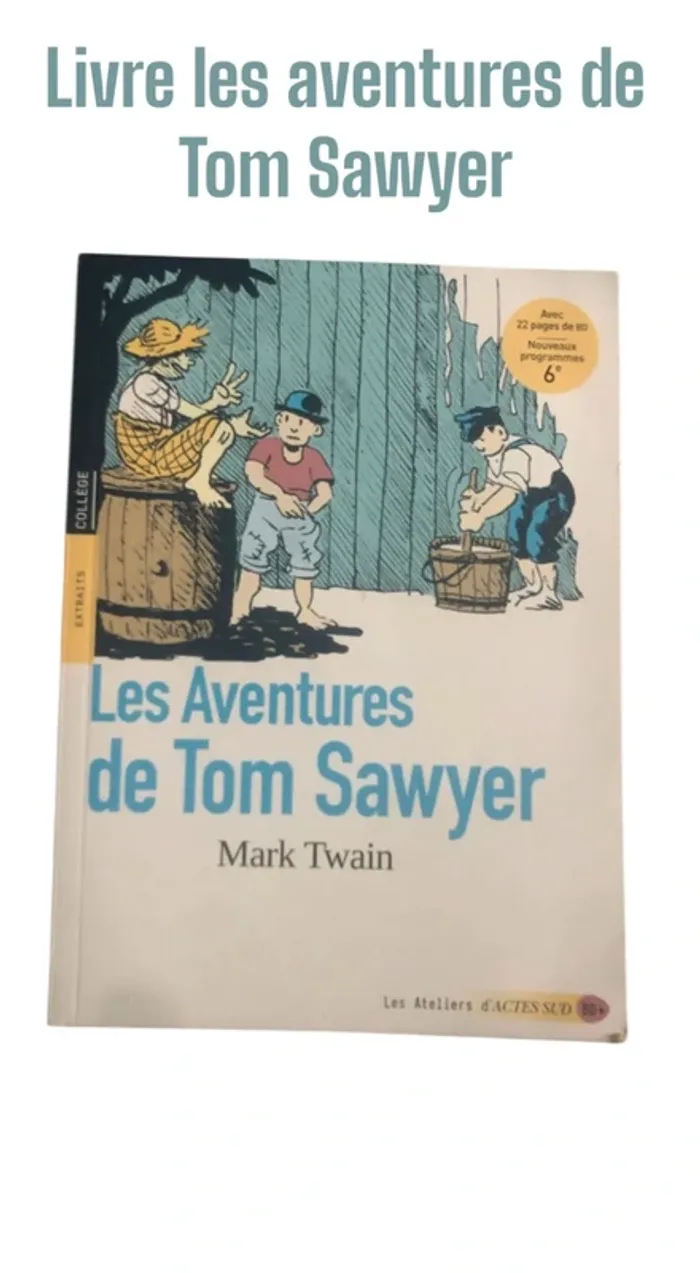 Livre les aventures de Tom Sawyer đ